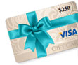 $250 Visa Gift Card